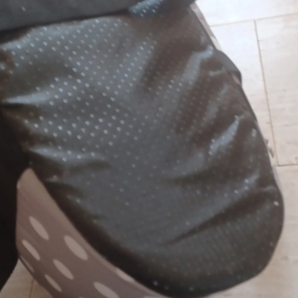 NODRUN Polka Dot Pet Carrier with Pillow